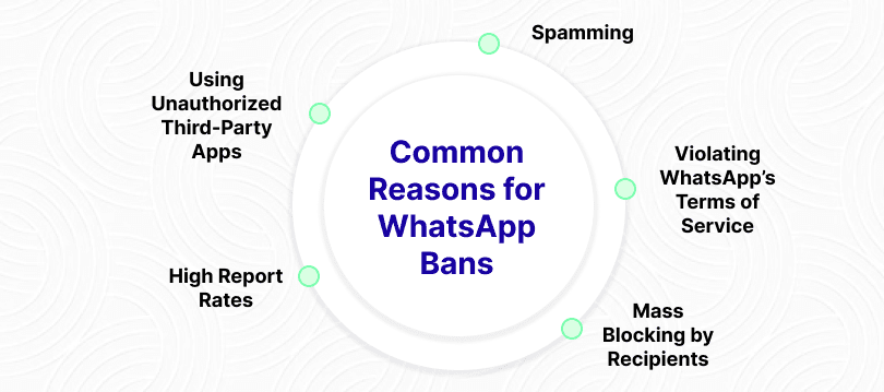 Common Reasons for WhatsApp Bans